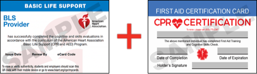 Sample American Heart Association AHA BLS CPR Card Certificaiton and First Aid Certification Card from CPR Certification Baton Rouge